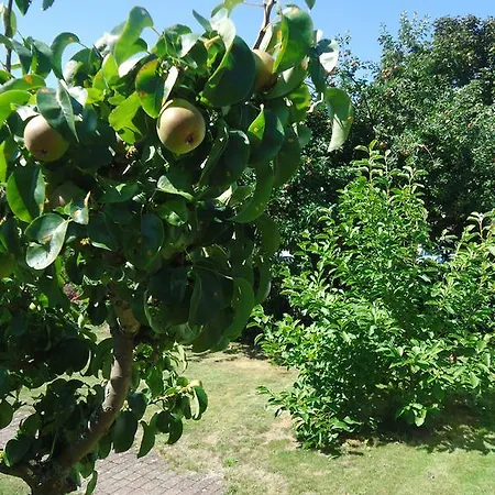Wilhelmshof Ribnitz-Damgarten