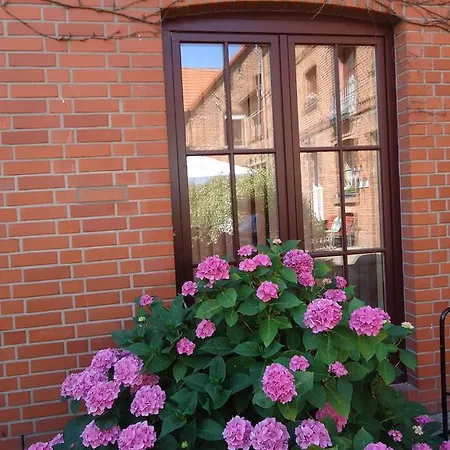 Guest house Wilhelmshof